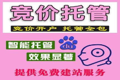 案例分享：专业SEM托管助力品牌崛起